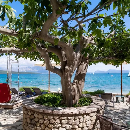 Club - 2 * 尼基亚娜